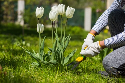 Professional hedge trimming in a well-maintained St Johns Wood garden