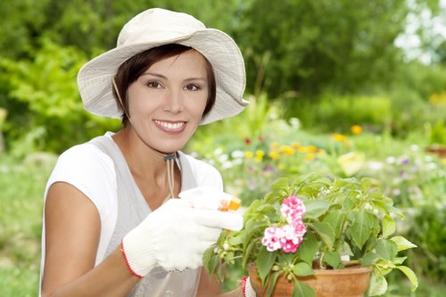 Diverse plant selection for St Johns Wood gardens