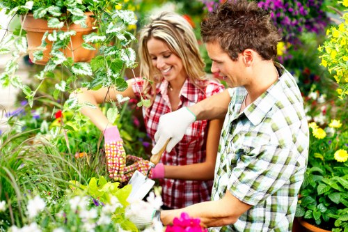 Weed-free garden beds with organic mulch in St Johns Wood