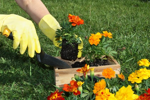 Before and after images of a garden cleared by experts