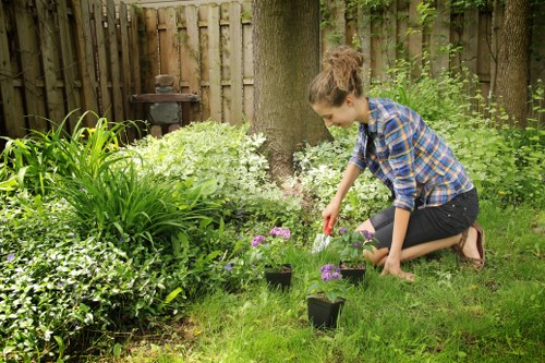 Hardscaping features in a St Johns Wood garden