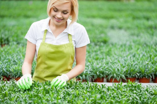 Choosing a reliable lawn mowing service