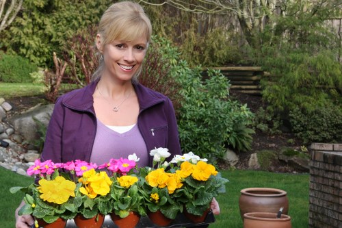 Sustainable garden practices in St Johns Wood