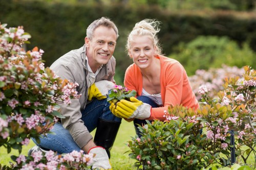 Seasonal garden maintenance in St Johns Wood